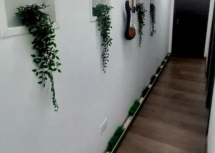 Vida Tenerife